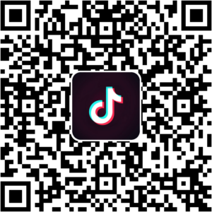 抖音小程序